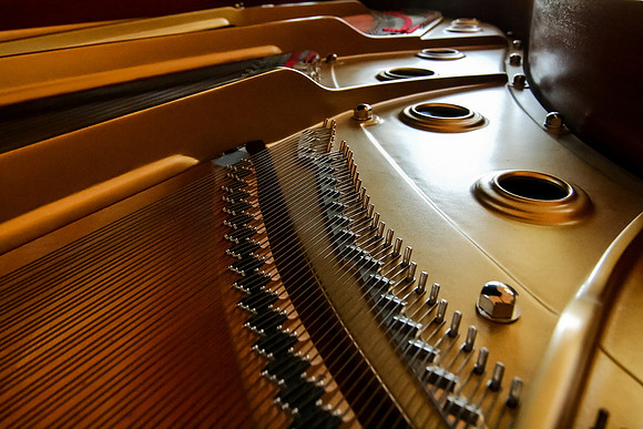 Harp and Plate